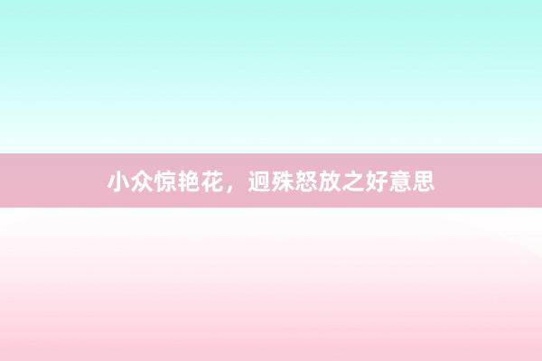 小众惊艳花，迥殊怒放之好意思