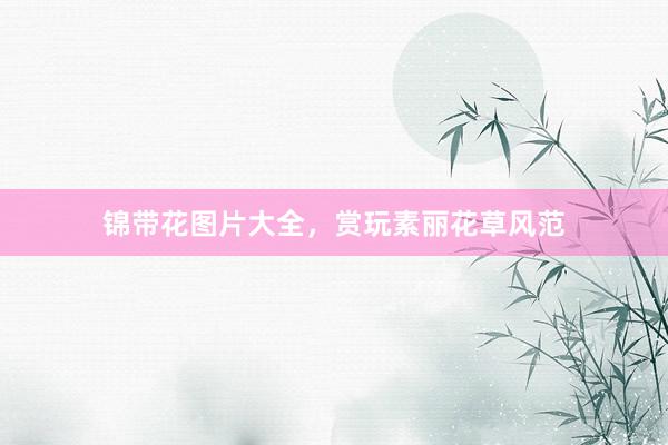 锦带花图片大全，赏玩素丽花草风范