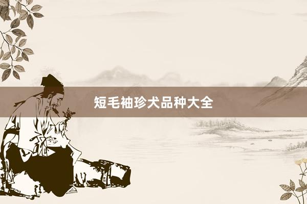 短毛袖珍犬品种大全
